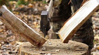 Au tăiat copacul, dar ce au găsit &icirc;năuntru le-a &icirc;ngheţat s&acirc;ngele &icirc;n vene! Cum a fost posibil