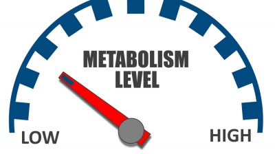 5 alimente care distrug metabolismul! Ai mare grijă! 