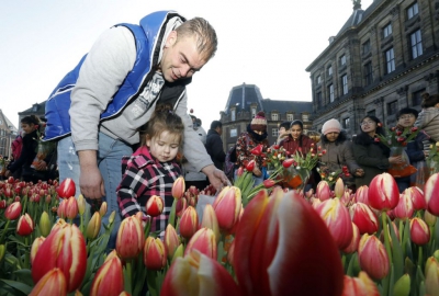 Ziua lalelelor în Olanda. Imagini spectaculoase 