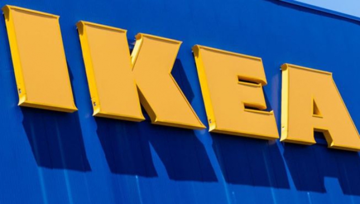 Ploșnițe la IKEA: insectele se ascund în lemn și se înmulțesc rapid
