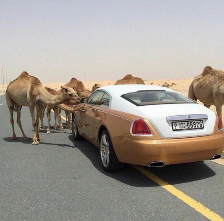 Viața nebună pe care o duc odraslele bogaților din Dubai FOTO