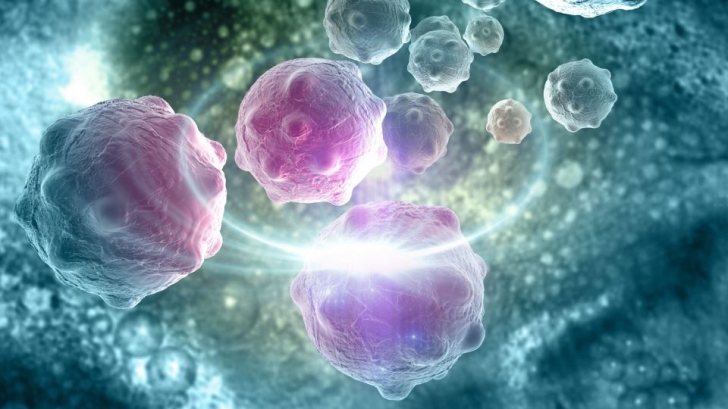 Savanţii au descoperit un proces celular care opreşte cancerul de la rădăcini