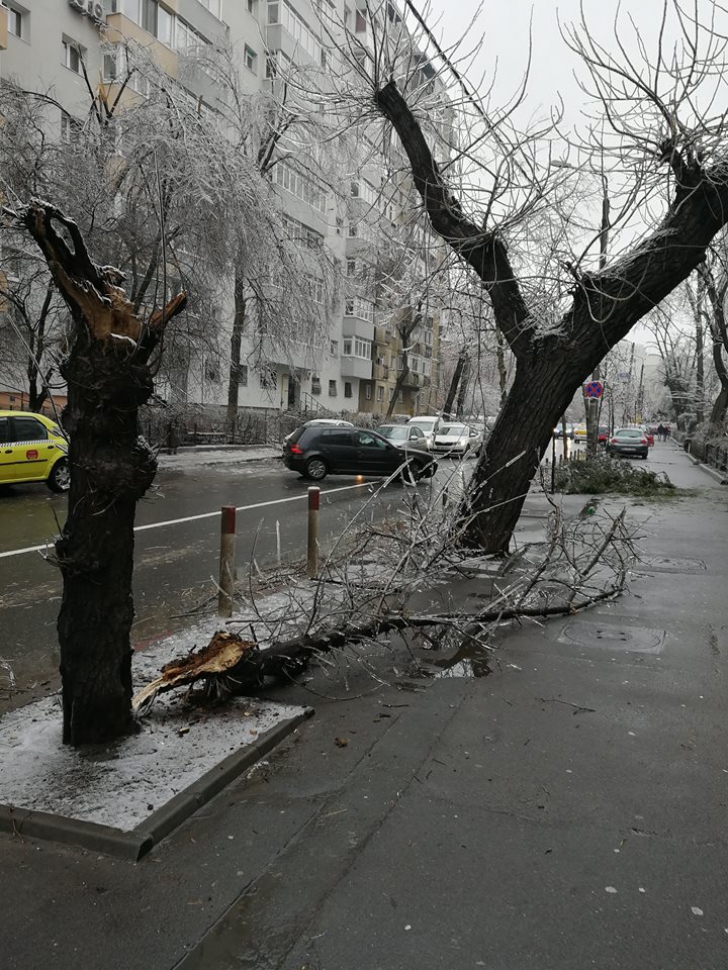 Imagini apocaliptice în București