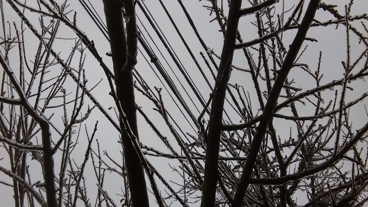 Ploaia înghețată | Când a mai paralizat fenomenul România (VIDEO)