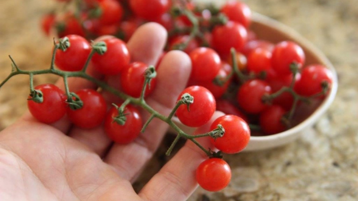 Adevărul despre roşiile cherry din supermarketuri. Ce sunt de fapt. Mai cumperi?