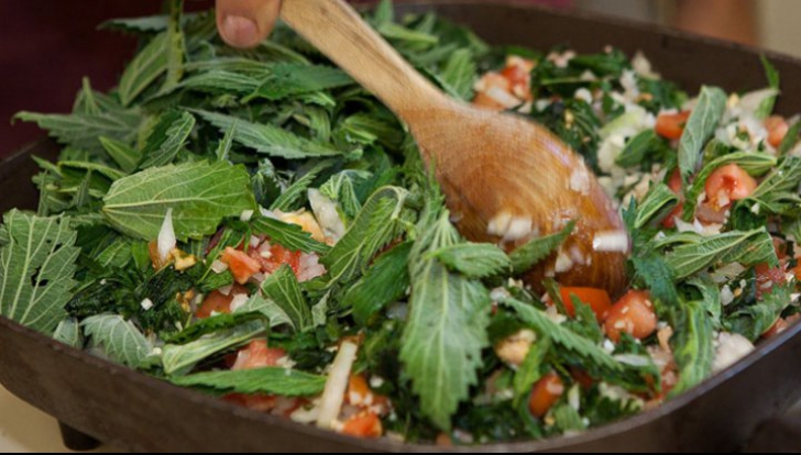 Salata-minune care elimină toxinele. Nu e chiar uşor de mâncat. Tu ai curaj?