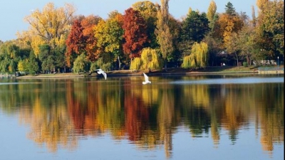 Descoperire șocantă în Lacul Herăstrău