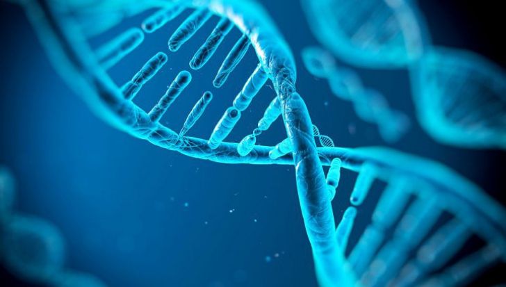 Ce poate schimba ADN-ul uman. Detaliul şocant 