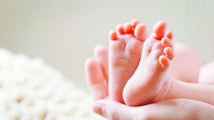 Noi informații despre bebelușii modificați genetic 