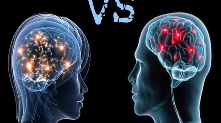 Diferenţele dintre creierul bărbaţilor şi cel al femeilor