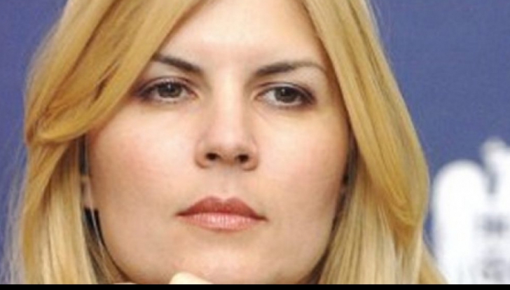Martor-SURPRIZĂ în dosarul campaniei electorale din 2009 al Elenei Udrea. Ce spune fostul ministru