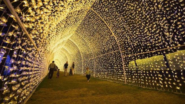 Festivalul luminilor din Emiratele Arabe. IMAGINI spectaculoase 
