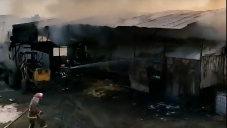 Imagini de coşmar la Mizil, sute de porci şi oi au ars de vii (VIDEO)