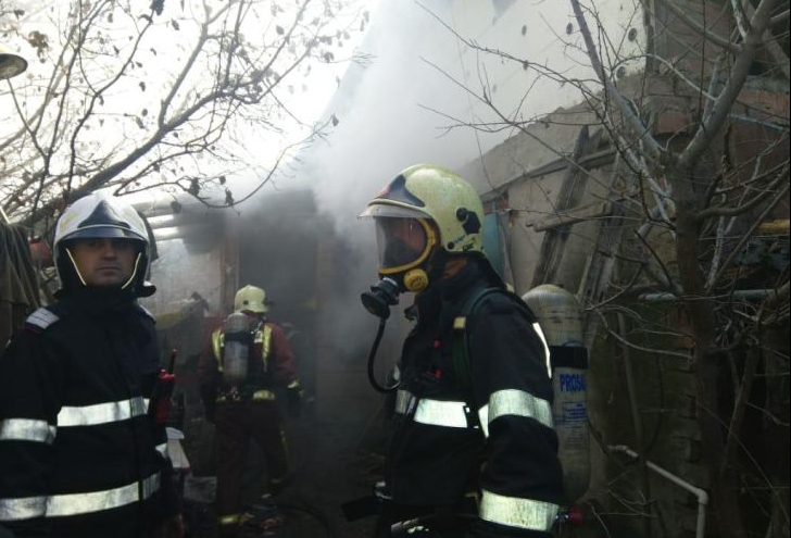 Cinci pisici și trei căței salvați dintr-un incendiu, la Ploieşti (VIDEO)