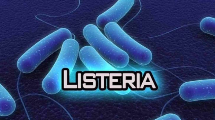 Listeria simptome
