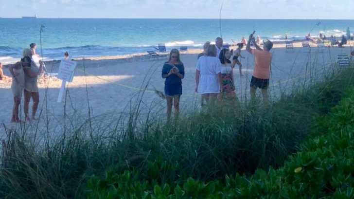 GALERIE FOTO Apariție misterioasă pe o plajă din Florida