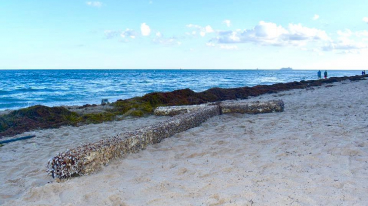 GALERIE FOTO Apariție misterioasă pe o plajă din Florida