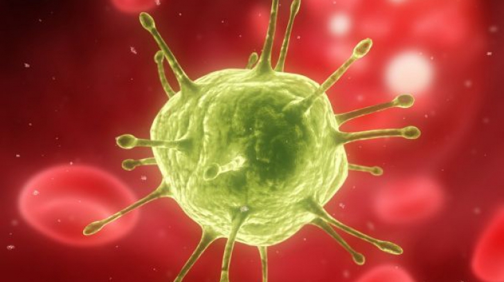 Studiu: Sistemul imunitar, antrenat de infecțiile anterioare cu virusurile care provoacă răceli, pentru a recunoaște COVID-19
