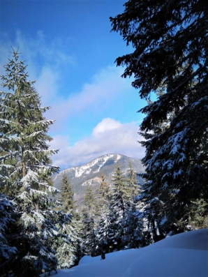 Iarnă Ca N Povești In Vrancea Cele Mai Frumoase Imagini Cu Zăpada