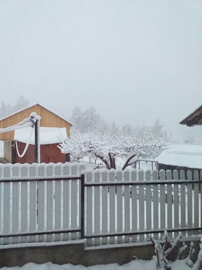 Zăpadă în martie, în Vrancea