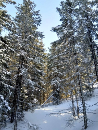 Zăpadă în martie, în Vrancea