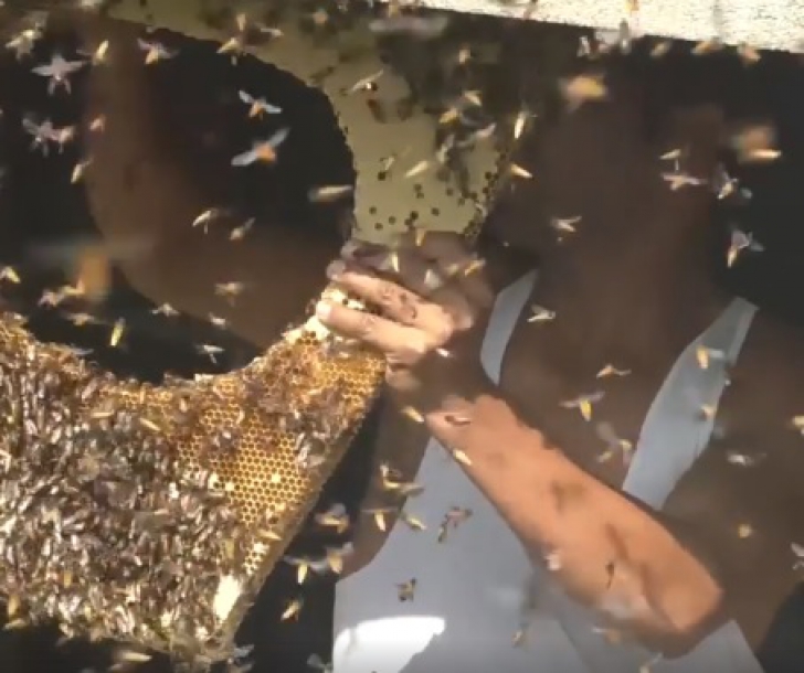 Terifiant! Un bărbat își umple gura cu sute de albine vii. Ritualul care a șocat
