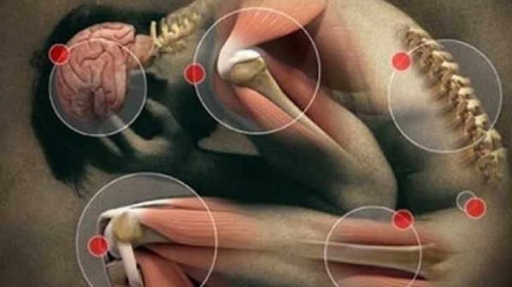 chondrogard pentru dureri la nivelul articulației șoldului din cauza a ceea ce doare articulația gleznei