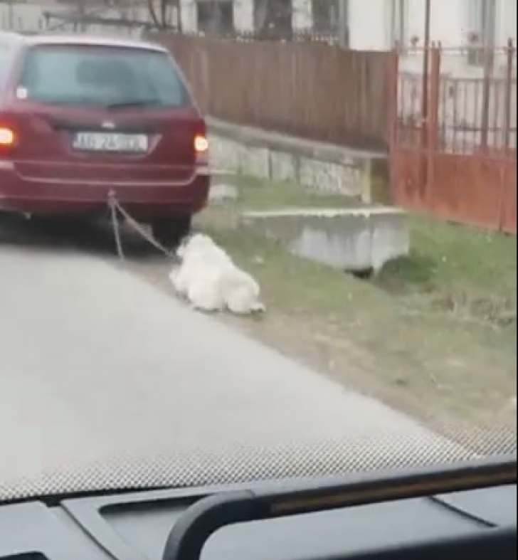 A târât câinele după maşină, dar spune că a vrut să facă o faptă bună