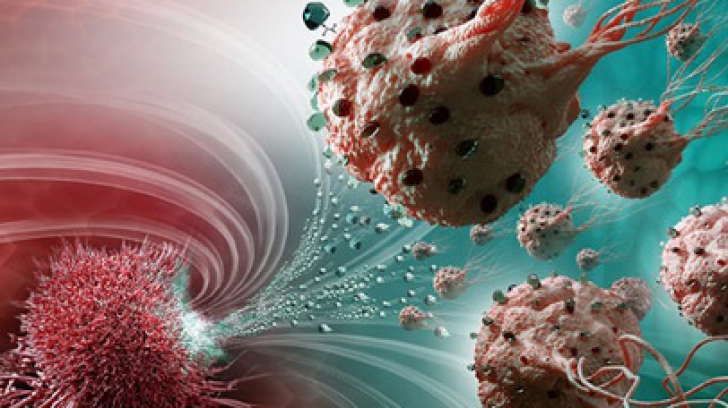 Leguma banală care poate distruge 14 tipuri de celule canceroase