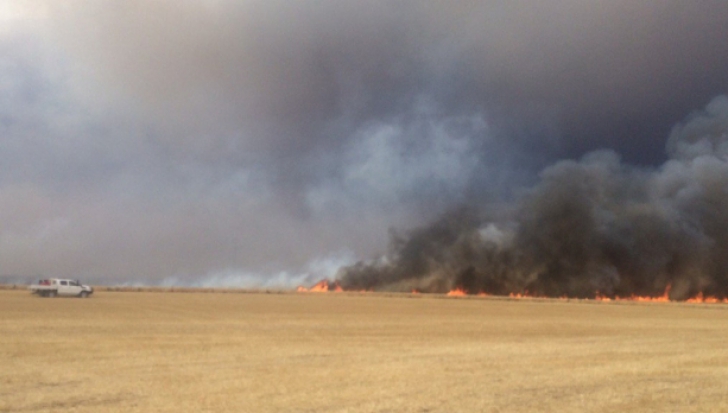 Autostrada A1 Bucureşti - Piteşti, blocată de un incendiu de vegetaţie