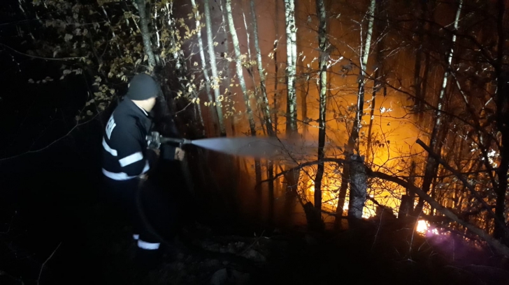 Incendiu puternic de vegetație în Bistrița