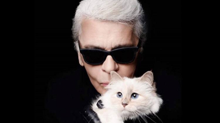 Pisica lui Karl Lagerfeld va lansa o linie de haine