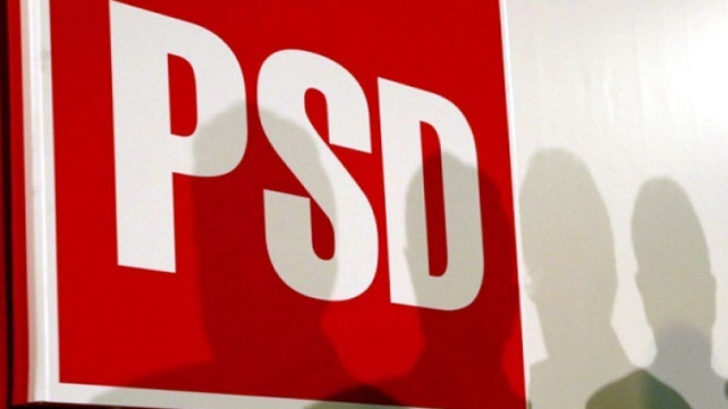 Strategie PSD pentru referendum