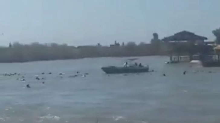 Tragedie cumplită lângă Mosul. Zeci de copii și femei au murit după ce un vas s-a scufundat 