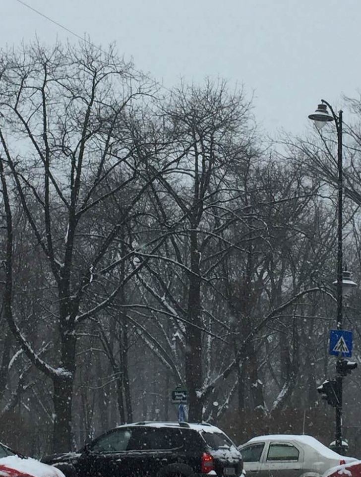Vremea a luat-o razna!? Pe 20 martie 2018 era iarnă în Bucureşti (GALERIE FOTO)