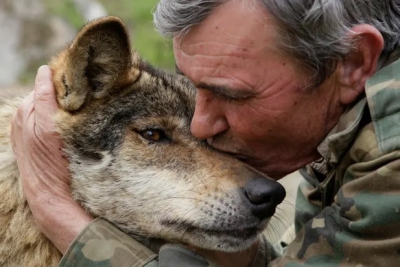 Bărbatul crescut de lupi are un mesaj terifiant pentru oameni. Ireal ce au fost &icirc;n stare să-i facă!