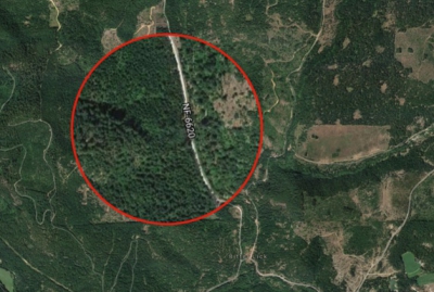 O mașină dispărută în urmă cu 27 de ani, găsită în pădure, înfiptă în pom. Oribil ce era lângă ea!