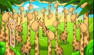 Șarpe ascuns între girafe