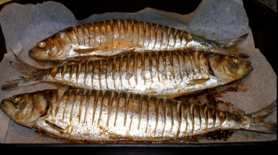 Cel mai sănătos pește din România! Beneficiile de care nu știai 