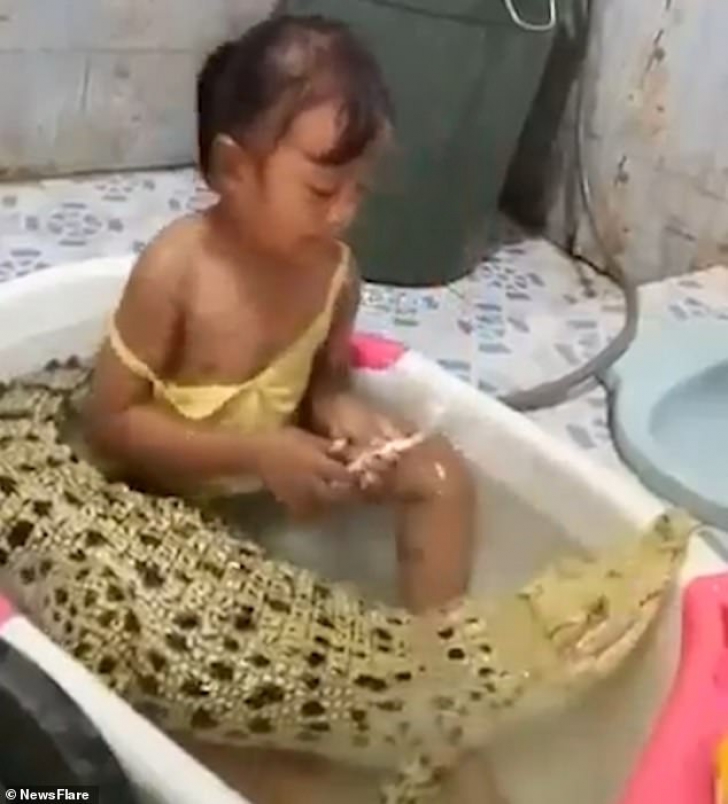 Au lăsat fetiţa în cadă cu un crocodil, iar micuţa îl spăla pe colţi. Când au revenit, au găsit...