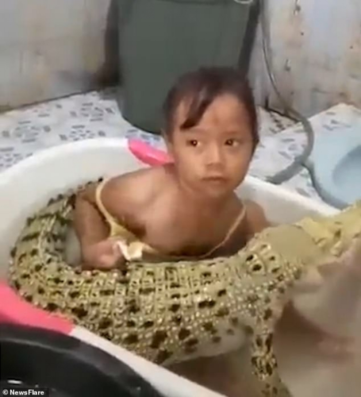 Au lăsat fetiţa în cadă cu un crocodil, iar micuţa îl spăla pe colţi. Când au revenit, au găsit...