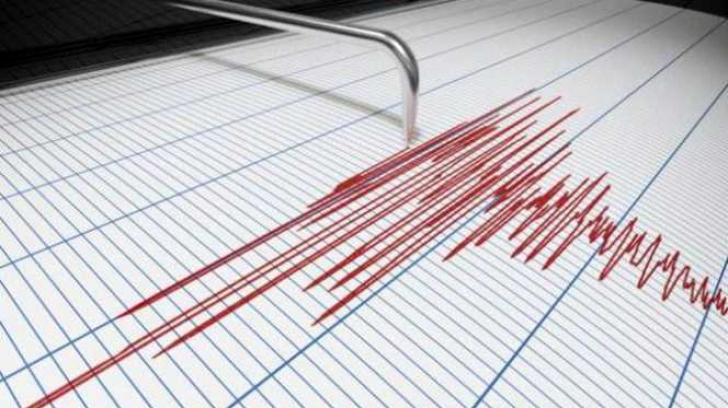 Cutremur în județul Buzău, azi-noapte!