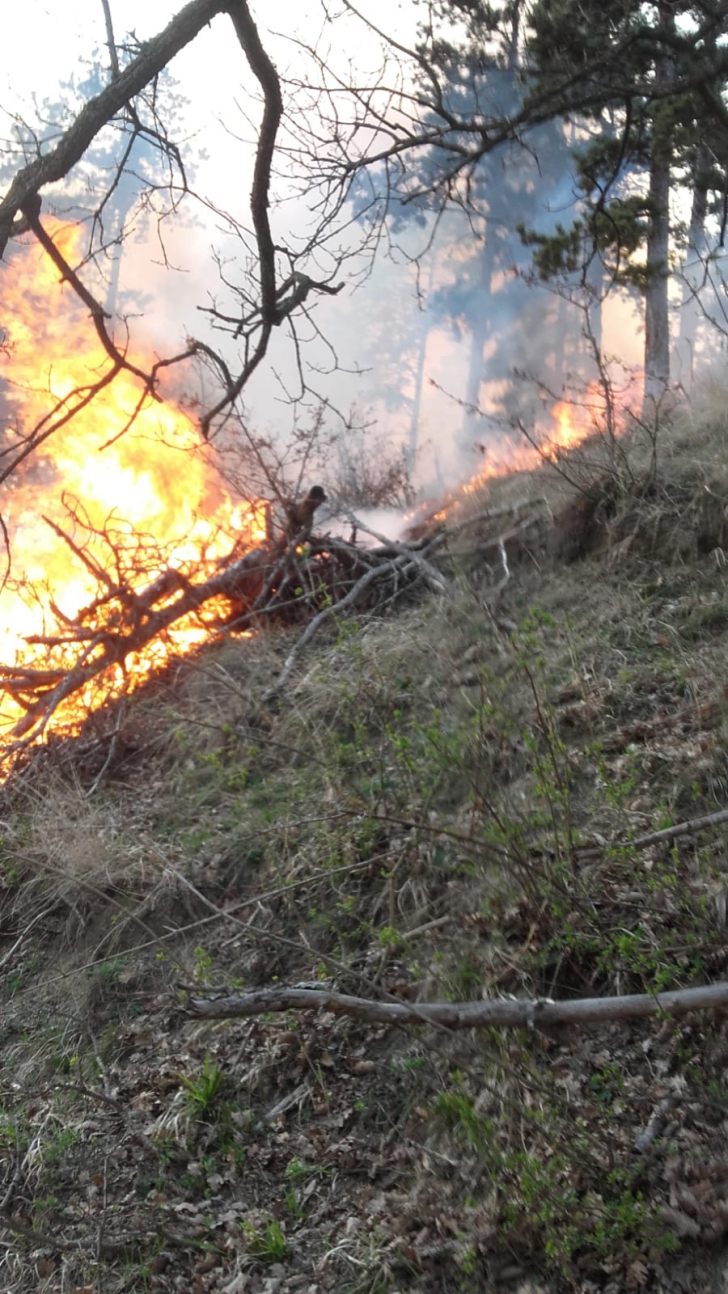Incendiu de pădure în Sibiu