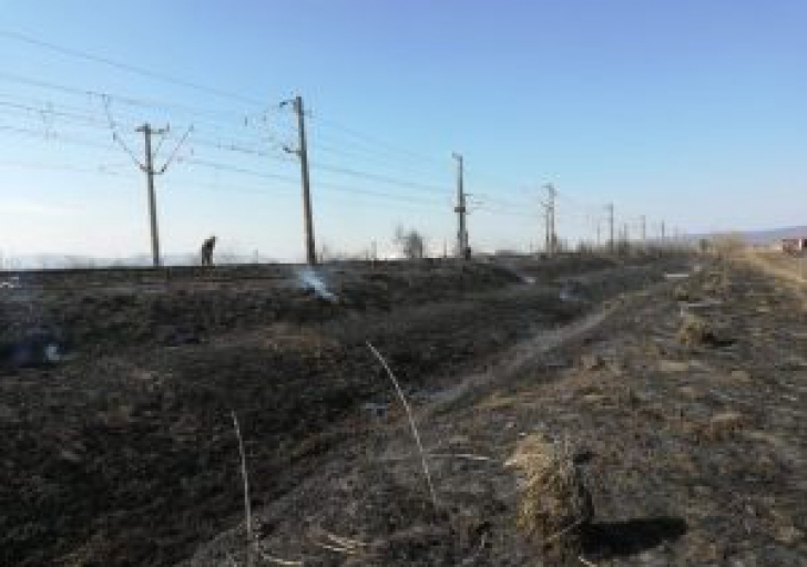 Incendiu de vegetație, lângă calea ferată! Mai multe trenuri, oprite în județul Brașov  