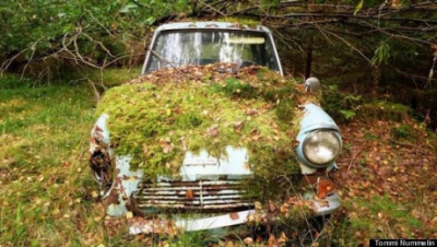 Ford-ul vechi, găsit sub frunze. Ce era înăuntru i-a schimbat viaţa