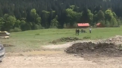 VIDEO Candidat la europarlamentare, agresat în faţa Cimitirului Eroilor din Valea Uzului