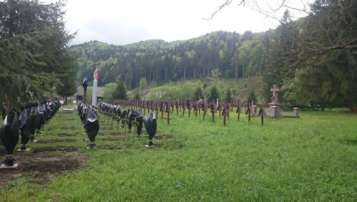 VIDEO Candidat la europarlamentare, agresat în faţa Cimitirului Eroilor din Valea Uzului