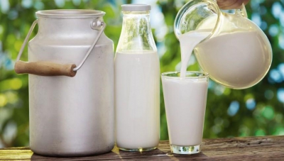 Dieta cu lapte sau dieta albă! Te ajută să slăbești șase kilograme în nouă zile