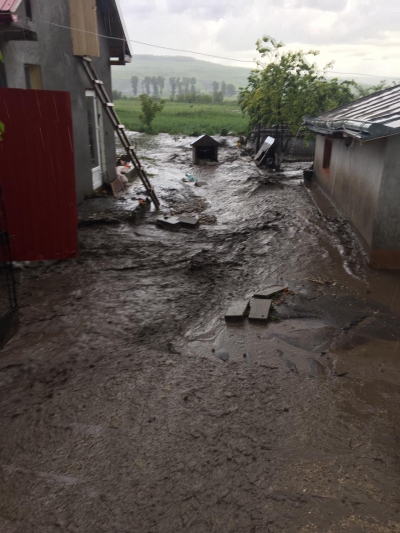 Ploile torențiale au făcut prăpăd: Case inundate, drumuri blocate și culturi distruse. FOTO+VIDEO