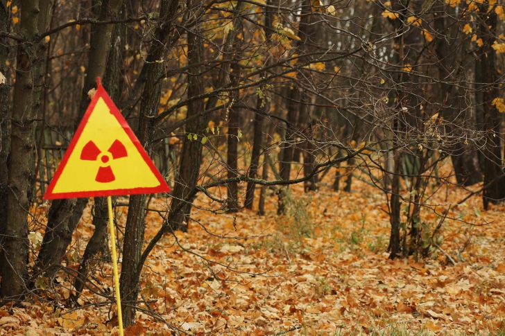 Dezastrul de la Cernobîl - Pădurea Roșie